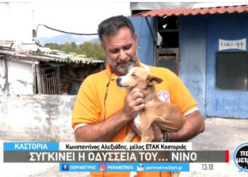 Ανθρώπινη αλυσίδα για τη διάσωση του Νίνο από τον Παλαμά Καρδίτσας-Η Καστοριά του άνοιξε την αγκαλιά της