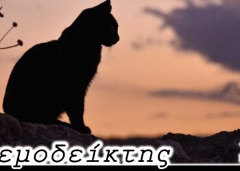 Οι μαύρες γάτες στον άτυχο αγώνα της Κοζάνης, ο διαιτητής και ο… ψυχοπονιάρης υποψήφιος - Ο Ανεμοδείκτης 26/9