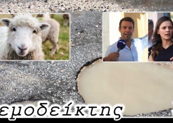 Οι παρενέργειες που… βίωσαν τα πρόβατα και τα πρώτα (μετεκλογικά) έργα - Ο Ανεμοδείκτης 23/9