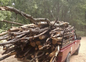 Ολοκληρώθηκε η συλλογή κατακείμενων ξύλων στο λόφο Αγίου Παντελεήμονα από δημότες του Δήμου Φλώρινας
