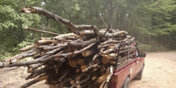 Ολοκληρώθηκε η συλλογή κατακείμενων ξύλων στο λόφο Αγίου Παντελεήμονα από δημότες του Δήμου Φλώρινας