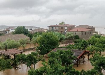 Κραυγή απόγνωσης από το κατεστραμμένο Πήλιο: Κινδυνεύουν να χαθούν σοδειές εκατομμυρίων
