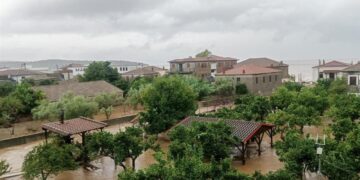 Κραυγή απόγνωσης από το κατεστραμμένο Πήλιο: Κινδυνεύουν να χαθούν σοδειές εκατομμυρίων