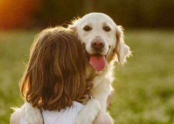 Ζώδια: Προβλέψεις για σήμερα, Παρασκευή 15 Σεπτεμβρίου 2023