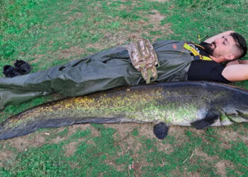 Αρκαδία: Έπιασε ψάρι 70 κιλών στην Μεγαλόπολη και το άφησε να ζήσει – «Μου πήρε 40 λεπτά»