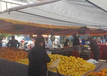 Αυξημένη η αγοραστική κίνηση σήμερα Τετάρτη 11/10/23 στη Λαϊκή Αγορά της Πτολεμαΐδας - (ρεπορτάζ της Κούλας Πουλασιχίδου)