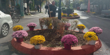 "Άνθισε" το Κέντρο της Πτολεμαΐδας καταμεσής του Φθινοπώρου! (της Κούλας Πουλασιχίδου)