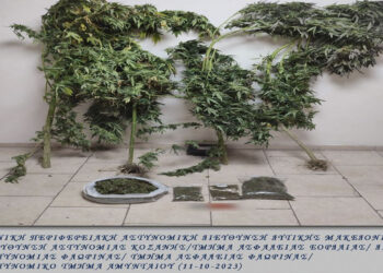 Αστυνομία: Συνελήφθη 61χρονος ημεδαπός σε περιοχή της Φλώρινας για καλλιέργεια δενδρυλλίων κάνναβης και κατοχή ναρκωτικών ουσιών