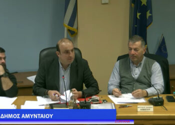 Θετικός ο απολογισμός στο Δήμο Αμυνταίου για τη φετινή Εμποροπανήγυρη