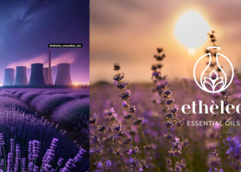 Η όμορφη φωτογραφία της “Etheleo essential oils” με καλλιέργειες λεβάντας