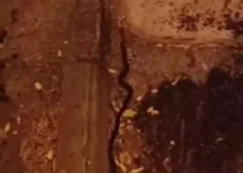 Κοζάνη: Φίδι προκάλεσε αναστάτωση στο κέντρο της πόλης