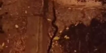 Κοζάνη: Φίδι προκάλεσε αναστάτωση στο κέντρο της πόλης