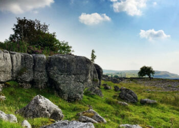 Το Viasat Νature σε ταξιδεύει σε μια άγρια και υπέροχη περιπέτεια  αυτόν τον Οκτώβριο με το αφιέρωμα  «Η άγρια φύση της Ευρώπης»…