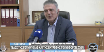 Ο πρόεδρος του ΕΒΕ Καστοριάς Μπάμπης Καραταγλίδης στην ΕΡΤ για τη συζήτηση περί απαγόρευση της γουνοποιίας