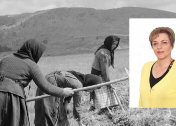 "Παγκόσμια Ημέρα Αγρότισσας" - Γράφει η πρόεδρος του Αγροτικού Συλλόγου Αμυνταίου Κρητικού Διαμαντούλα