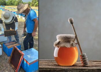 Πωλείται τοπικό Βλατσιώτικο μέλι πατροπαράδοτου Μελισσοκομείου από όλα τα καταστήματα της Βλάστης και αποστέλλεται με αντικαταβολή