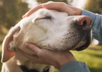 Ζώδια: Προβλέψεις για σήμερα, Δευτέρα 30 Οκτωβρίου 2023