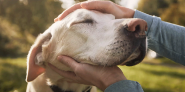 Ζώδια: Προβλέψεις για σήμερα, Δευτέρα 30 Οκτωβρίου 2023