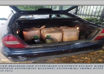 Συνελήφθησαν δύο νεαροί σε περιοχή της Κοζάνης για  διακίνηση αμφιβόλου ποιότητας ελαιόλαδου