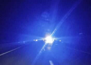 Αγελάδες στο οδόστρωμα στη νέα Ε.Ο. Κοζάνης – Φλώρινας από Μαυροπηγή μέχρι κόμβο Ανατολικού (της Κούλας Πουλασιχίδου)