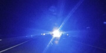 Αγελάδες στο οδόστρωμα στη νέα Ε.Ο. Κοζάνης – Φλώρινας από Μαυροπηγή μέχρι κόμβο Ανατολικού (της Κούλας Πουλασιχίδου)