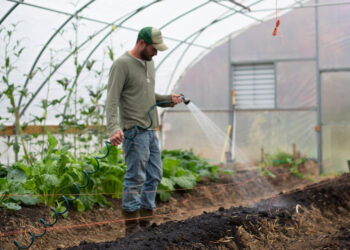 Γεωργοί Νεαρής Ηλικίας: Τι προβλέπει το νέο πρόγραμμα