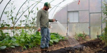 Γεωργοί Νεαρής Ηλικίας: Τι προβλέπει το νέο πρόγραμμα