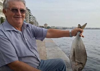 «Είναι λουκούμι»: Ψαράς έπιασε μια μεγάλη τσιπούρα στον Θερμαϊκό και είναι αποφασισμένος να την φάει