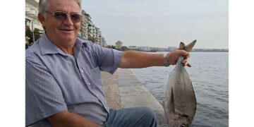 «Είναι λουκούμι»: Ψαράς έπιασε μια μεγάλη τσιπούρα στον Θερμαϊκό και είναι αποφασισμένος να την φάει