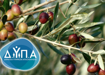 ΔΥΠΑ: Παρατείνονται οι αιτήσεις ανέργων για τις θέσεις εργασίας στο Ηράκλειο Κρήτης με δωρεάν μετακίνηση και διαμονή