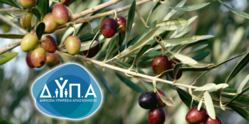 ΔΥΠΑ: Παρατείνονται οι αιτήσεις ανέργων για τις θέσεις εργασίας στο Ηράκλειο Κρήτης με δωρεάν μετακίνηση και διαμονή