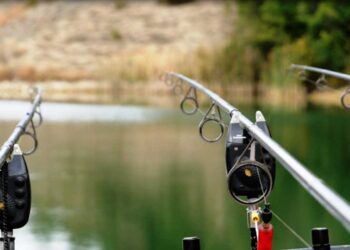 Έναρξη διεξαγωγής Αγώνα Αθλητικής Αλιείας Κυπρίνου στην τεχνητή λίμνη Πολυφύτου από τις 24/11 ως τις 26/11