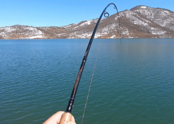 Ενημέρωση για την ανανέωση των αδειών σκαφών επαγγελματικής αλιείας στην Π.Ε. Κοζάνης από την Περιφ. Δυτικής Μακεδονίας