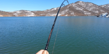 Ενημέρωση για την ανανέωση των αδειών σκαφών επαγγελματικής αλιείας στην Π.Ε. Κοζάνης από την Περιφ. Δυτικής Μακεδονίας