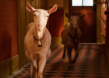 Το «Όλα Τα Πλάσματα, Μεγάλα Και Μικρά» επιστρεφει στο EPIC DRAMA με ολοκαίνουργια σεζόν!