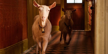 Το «Όλα Τα Πλάσματα, Μεγάλα Και Μικρά» επιστρεφει στο EPIC DRAMA με ολοκαίνουργια σεζόν!