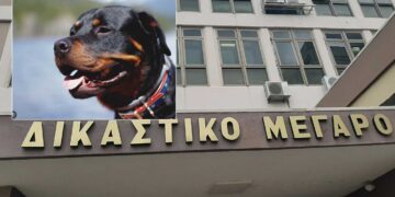 Η εξαγορά της ενοχής - Της Ράνιας Στυλιάδου