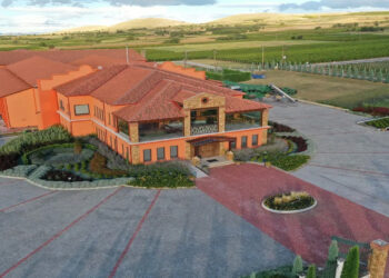 Στα 100 Κορυφαία Κρασιά 2023 του Wine Spectator το Sauvignon Blanc 2022 του κτήμα Άλφα