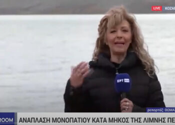 Αμύνταιο: Σχεδιάζεται μια μοναδική ανάπλαση μονοπατιού κατά μήκος της λίμνης Πετρών, με στόχο την ανάδειξή της-VIDEO