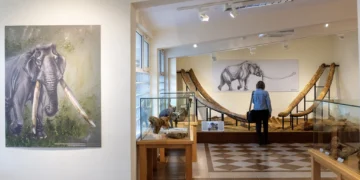 Στα ίχνη των ελεφάντων της Δυτικής Μακεδονίας