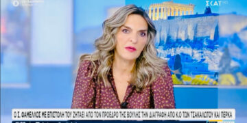 Πέτη Πέρκα: «Ο νέος Πρόεδρος και ο νέος ΣΥΡΙΖΑ έχουν μετακινηθεί πολιτικά και όχι εγώ»