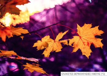 Σε ελεύθερη πτώση ο υδράργυρος - 5 περιοχές της Δυτικής Μακεδονίας φιγουράρουν στη λίστα με τις ελάχιστες θερμοκρασίες ημέρας