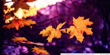 Σε ελεύθερη πτώση ο υδράργυρος – 5 περιοχές της Δυτικής Μακεδονίας άγγιξαν τους  0°C – Δείτε ποιες