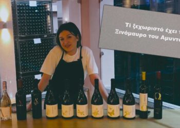 Το διαφημιστικό βίντεο για το Φεστιβάλ Ξινόμαυρου κρασιού στο Αμύνταιο