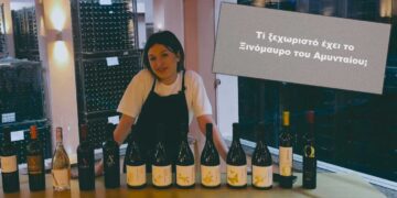Το διαφημιστικό βίντεο για το Φεστιβάλ Ξινόμαυρου κρασιού στο Αμύνταιο