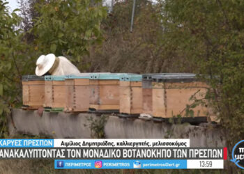 Ανακαλύπτοντας τον μοναδικό βοτανόκηπο των Πρεσπών