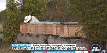 Ανακαλύπτοντας τον μοναδικό βοτανόκηπο των Πρεσπών