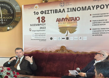 Αμύνταιο: Επιτυχημένο το Φεστιβάλ Ξινόμαυρου στην καρδιά της οινοποιητικής ζώνης
