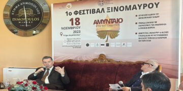 Αμύνταιο: Επιτυχημένο το Φεστιβάλ Ξινόμαυρου στην καρδιά της οινοποιητικής ζώνης