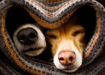 Ζώδια: Προβλέψεις για σήμερα, Τρίτη 21 Νοεμβρίου 2023